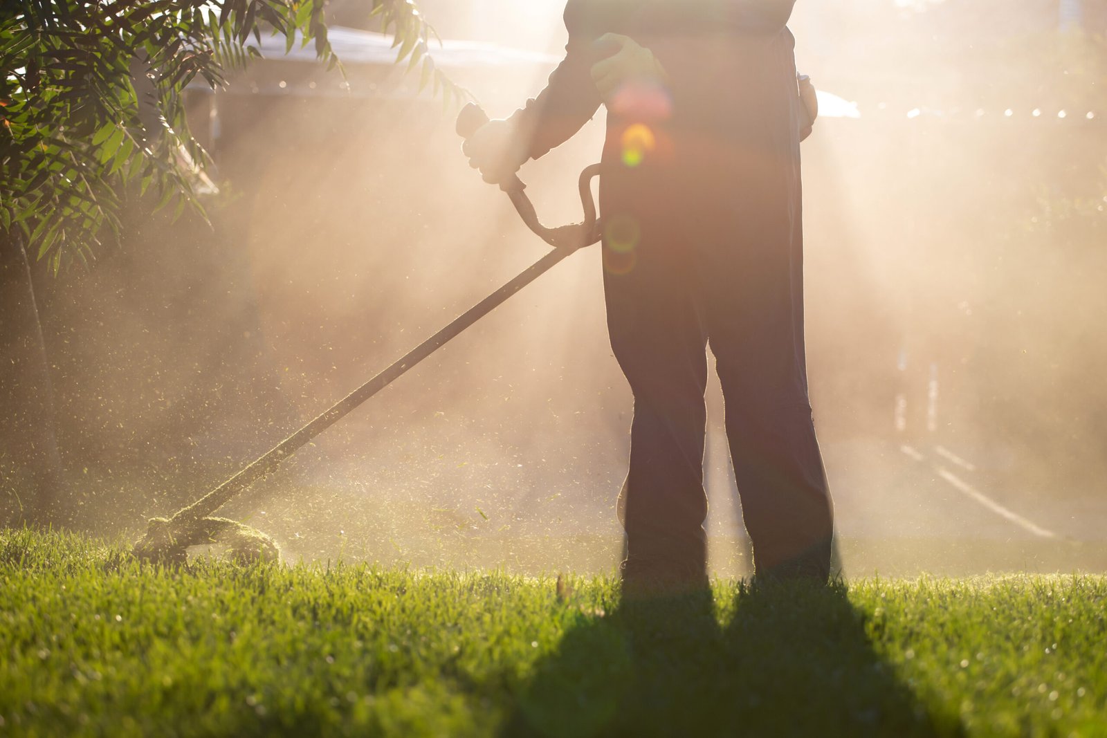 Tuinonderhoud achtergrond